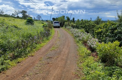 Chính chủ bán đất thổ cư Lâm Hà cách chợ Tân Hà chỉ 2km