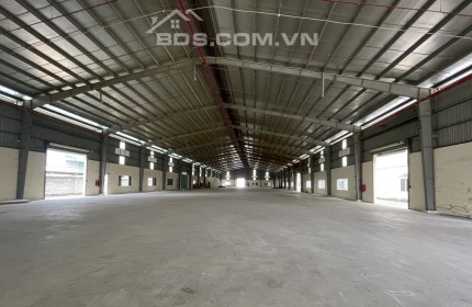 Cho Thuê Xưởng 5000m2 KCN Tân Đô, Đức Hoà, Tỉnh Long An