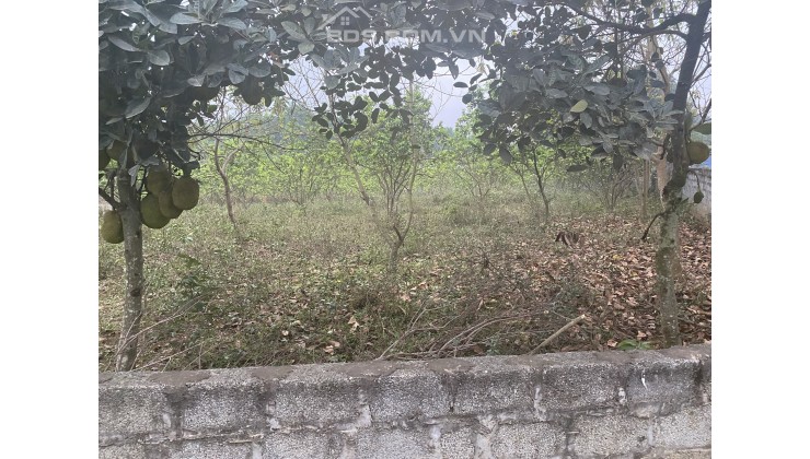 Cần bán đất tại xã Cao Dương, huyện Lương Sơn, Hòa Bình