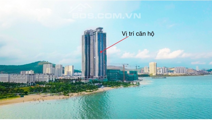 Mình bán căn 1 ngủ tòa B tầng cao đẹp dự án Biển Alacarte Hạ Long, Quảng Ninh 2,x tỷ (X tiểu học)