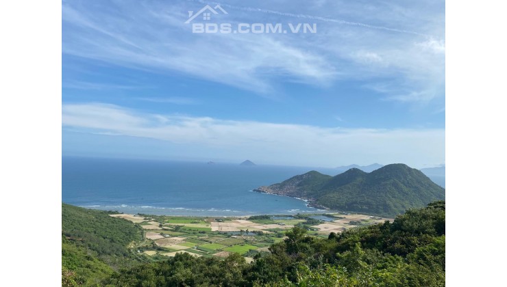 Bán 4ha view Biển bám đường nhựa 100m giá chỉ 350k m Ninh Vân NinhHoà 0985451850