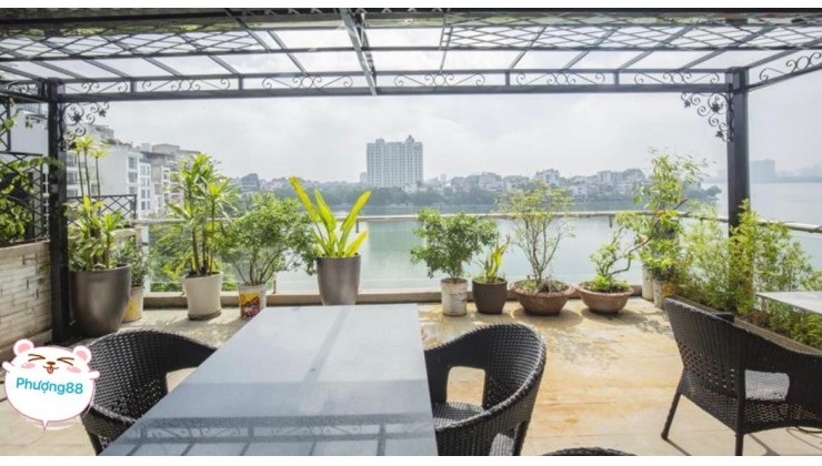 Siêu phẩm mặt hồ Quảng An, view Tây Hồ mát mẻ, 224m2, MT: 8m, kinh doanh siêu lợi nhuận