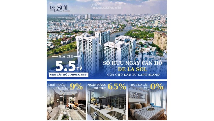 Chủ Đầu Tư Capitaland Thương Hiệu Nổi Tiếng Đến Từ Singapore với DE LA SOL