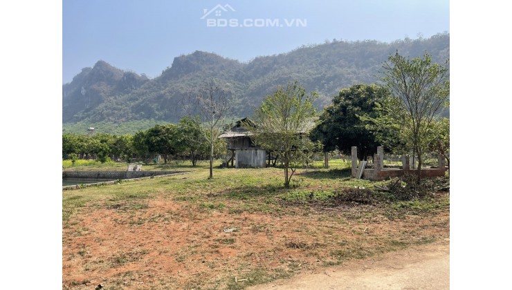 Mảnh đất 3000m2 có 400m2 thổ cư view đẹp nhất Mường Sang