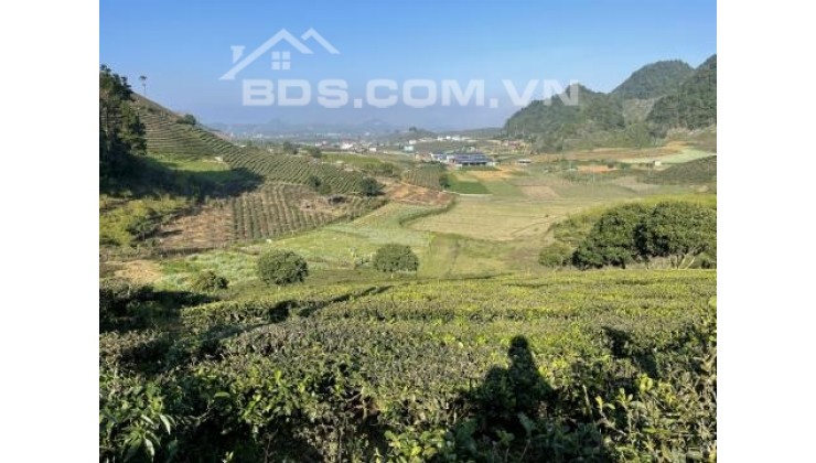 Cần bán mảnh đất 3400m2 view đồi chè ở thị trấn Nông Trường Mộc Châu
