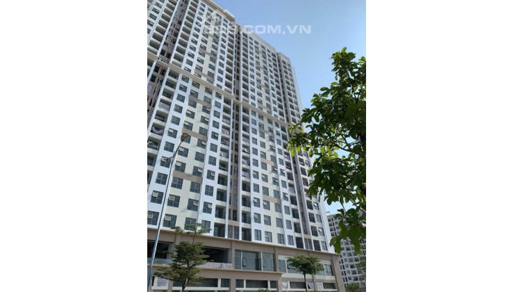 Giỏ hàng ngoại giao căn hộ FPT Plaza, view biển 2PN, 3PN chỉ từ 1ty4 căn giá gốc chủ đầu tư