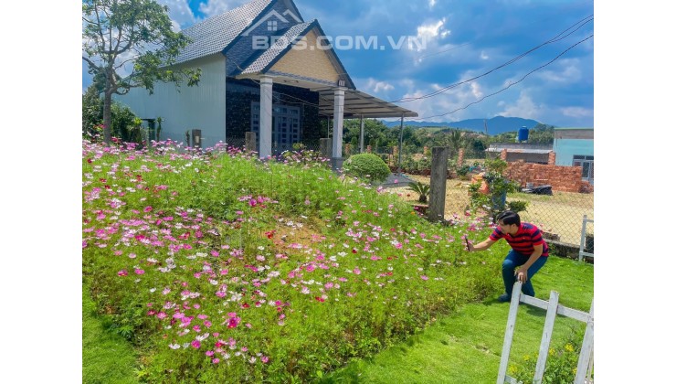 Kẹt tiền bán đất ngay UBND Tân Lạc sát TP. Bảo Lộc chỉ 1tỷ SHR