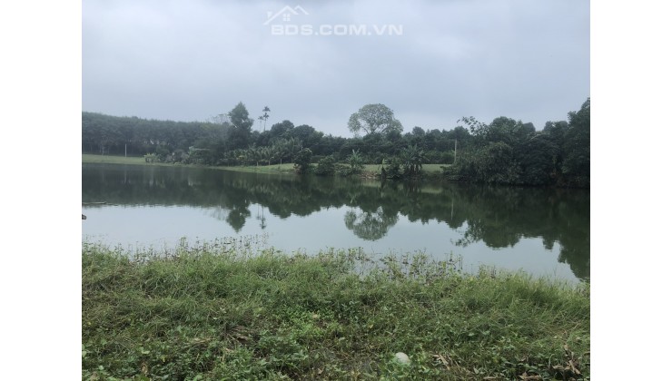 Thị Trấn Vân DU, Thạch Thành, Thanh Hóa
khu phố 7
view hồ