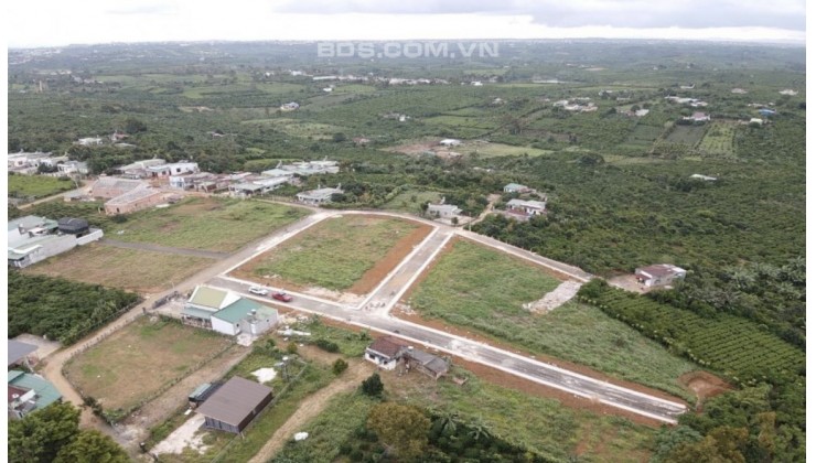 Chính chủ bán cắt lỗ khu đất gần trung tâm Bảo Lộc diện tích 10.382m2 đã lên 4,075m2 thổ cư giá 35 Tỷ