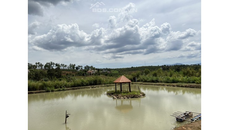 Đất Thôn Thạch Hà-xã Liên Hà-huyện Lâm Hà-Lâm Đồng