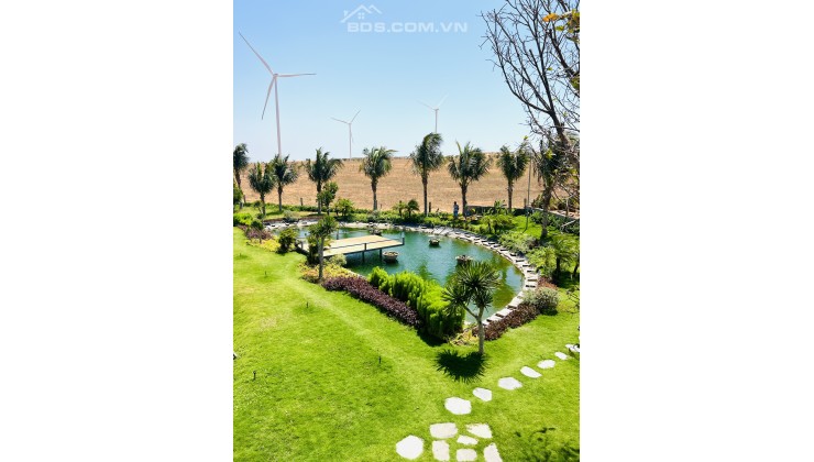 Chính chủ bán bớt đất Hoà Thắng view biển có đường điện xây dựng Farm nghỉ dưỡng cực HOT, có cam kết mua lại