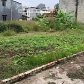 ĐẤT ĐẸP NAM HỒNG - NGÕ THÔNG Ô TÔ TẢI TRÁNH - Ở HAY ĐẦU TƯ ĐỀU TUYỆT 160m, MT8m giá:8.68 tỷ