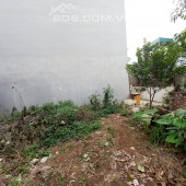 BÁN GẤP LÔ ĐẤT ĐẸP RẺ NHẤT LONG BIÊN Ô TÔ VÀO ĐẤT 44M2 2 MẶT NGÕ 1.95 TỶ.