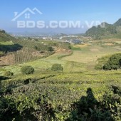 Cần bán mảnh đất 3400m2 view đồi chè ở thị trấn Nông Trường Mộc Châu