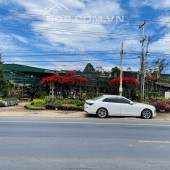 Cần tiền nên bán gấp nhà và đất trung tâm Huyện Đức Trọng, Lâm Đồng mặt tiền quốc lộ 20