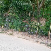Bán đất nền đường Bùi Hữu Nghĩa, Hòa An,TP Cao Lãnh, Đồng Tháp