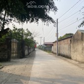 Bán đất trồng cây lâu năm xã Chính Nghĩa, huyện Kim Động, Hưng Yên.