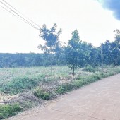 Đất thổ cư, sổ hồng riêng, giá rẻ view đẹp tại Đắk Nông, 1034m2 - 380 triệu - 250m thổ cư