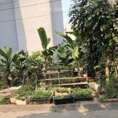 Bán 2 lô đất dịch vụ khu 20AB Dương Nội