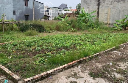 ĐẤT ĐẸP NAM HỒNG - NGÕ THÔNG Ô TÔ TẢI TRÁNH - Ở HAY ĐẦU TƯ ĐỀU TUYỆT 160m, MT8m giá:8.68 tỷ