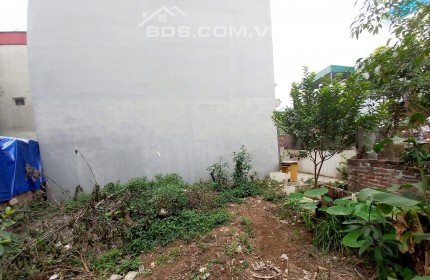 BÁN GẤP LÔ ĐẤT ĐẸP RẺ NHẤT LONG BIÊN Ô TÔ VÀO ĐẤT 44M2 2 MẶT NGÕ 1.95 TỶ.