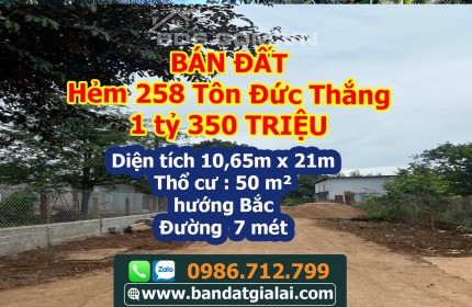 Bán 200 lô đất toàn Gia Lai giá Đẹp - hẻm 258 Tôn Đức Thắng