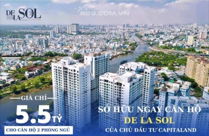 Chủ Đầu Tư Capitaland Thương Hiệu Nổi Tiếng Đến Từ Singapore với DE LA SOL