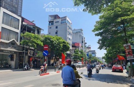 Bán gấp  tòa Văn Phòng mặt phố Tôn Đức Thắng  quận Đống Đa 123M xây 8 tầng 6m mặt tiền Giá chỉ  43.5 Tỷ