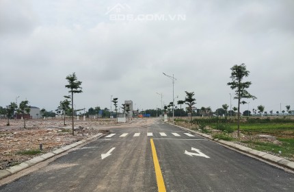 Cặp Lô Đấu Giá Trung Sơn - Việt yên Bắc Giang