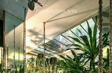 Vị trí kim cương - Mặt tiền Đông Du, Quận 1 (5 x 25m) HĐT 233,7 triệu/th gía 100 tỷ TL