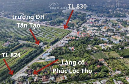 MẶT TIỀN ĐT824 XÃ HỮU THẠNH ĐỨC HOÀ LONG AN.