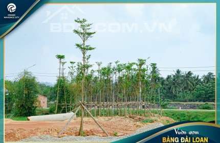 BÁN ĐẤT NỀN TAM QUANG BÌNH ĐỊNH GIÁ RẺ NGAY BÂY GIỜ