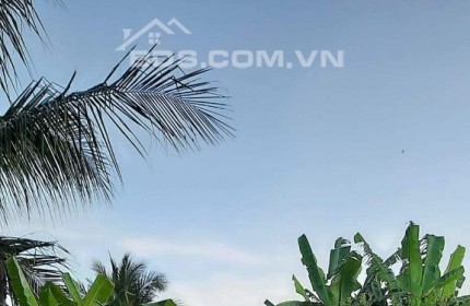 BÁN 40 CÔNG ĐẤT RUỘNG XÃ TÂN HƯNG- LONG PHÚ- SÓC TRĂNG