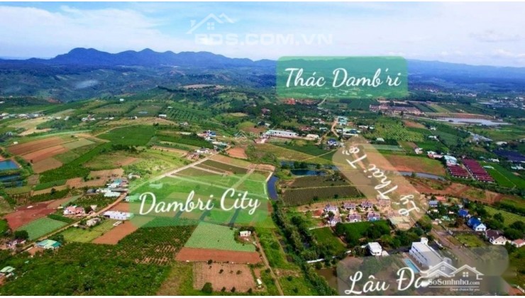 Bán nhà Khu homestay đang kinh doanh tại Bảo Lộc 1.6 tỷ view suối rât đẹp