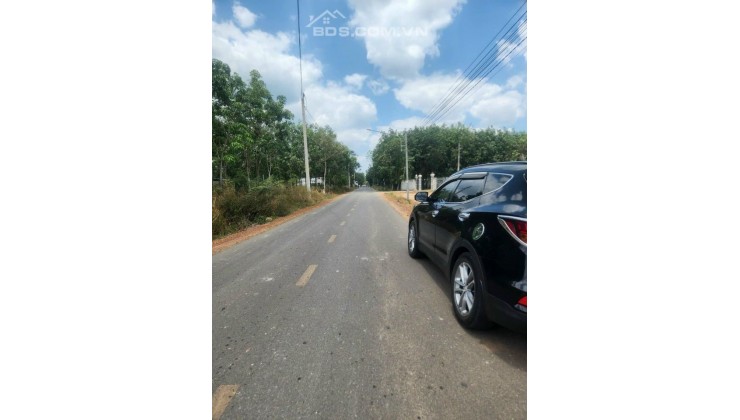 Đất Thổ Cư Mặt Tiền Đường Nhựa Giá Chỉ 290tr......