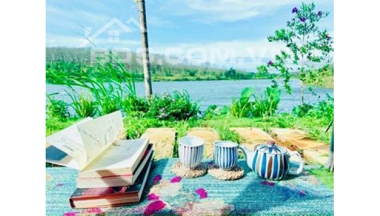 Bình Phước Gía f0 ,Mua Đáy Bán Đỉnh