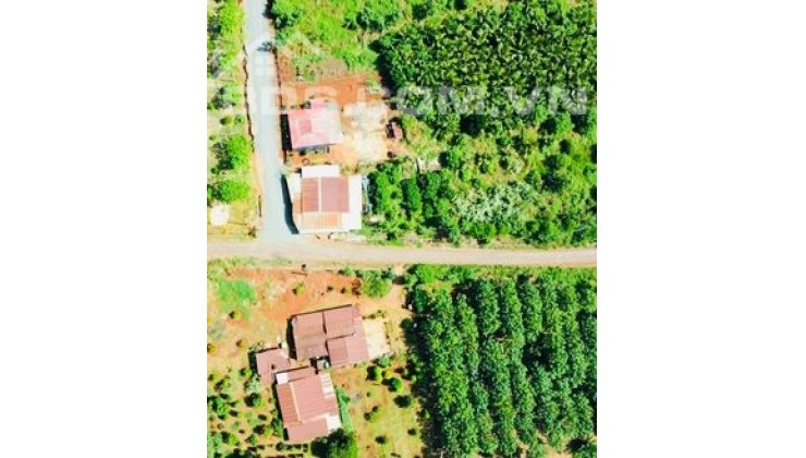 Hỗ trợ đầu tư, đất ngộp giá