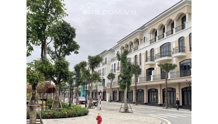 Độc quyền liền kề, shophouse, song lập giá siêu tốt chưa từng có tại Vinhomes Ocean Park 2