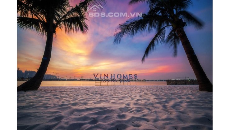 Biệt thự Song lập 150m2 Vinhomes Ocean Park - Khu VIP nhất - Giá TỐT nhất