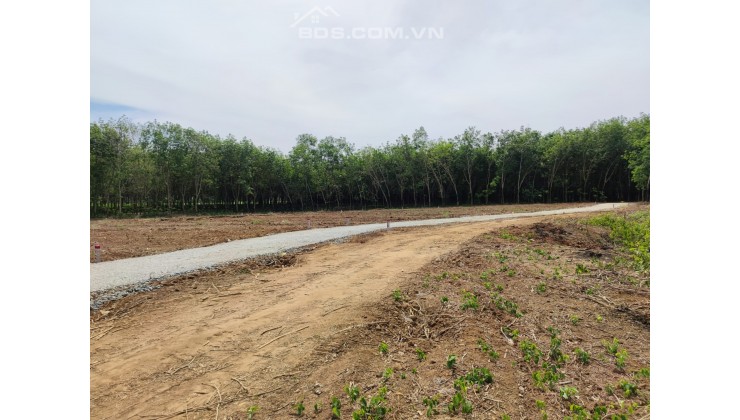 SANG NHƯỢNG LẠI 3000M2 ĐẤT CÁCH SÀI GÒN 120KM