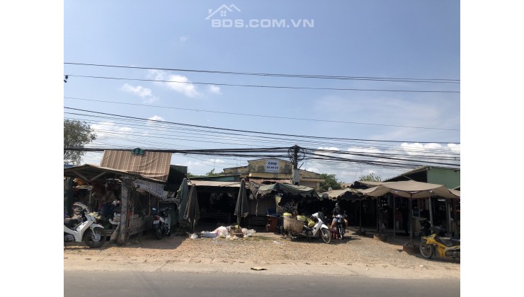 Đất vườn Tây Ninh - Kho báu đầu tư đầy tiềm năng cho tương lai