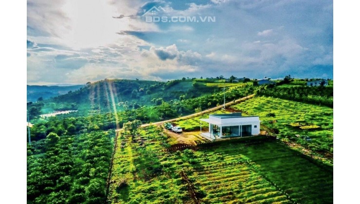 371m2 giá 1.45 tỷ ngay Mê Linh Đà Lạt