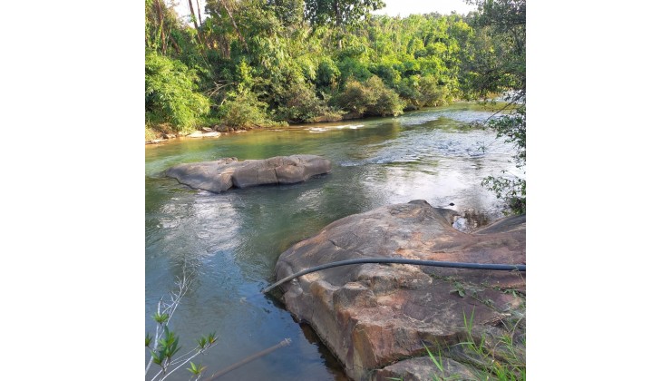400m thổ cư giáp sông cực đẹp giá siêu rẻ tại Đạ huoai