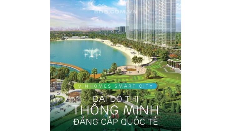 VỊ TRÍ KIM CƯƠNG ĐẸP NHẤT VINHOMES SMART CITY 