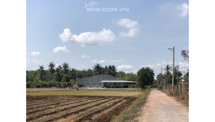 Siêu phẩm cho nhà đâu tư- Đất công Châu Thành giá rẻ.