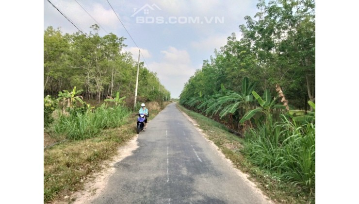 BỎ MỘT VÀI TRĂM TRIỆU ĐỂ 1 THỜI GIAN LẠI CÓ TIỀN TỶ MÀ KHÔNG CẦN LÀM GÌ CHỈ CÓ THỂ LÀ MUA ĐẤT!!