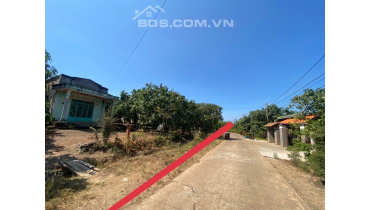 250m2 đất F0 chưa qua đầu tư có sẵn 200m2 thổ cư view hồ Trị An