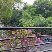 BÁN BIỆT THỰ SIÊU ĐẸP MỸ ĐÌNH 160M, 4 TẦNG, MT 18M, GIÁ CHÀO 42 TỶ- LÔ GÓC - 2 Ô TÔ TẢI TRÁNH.