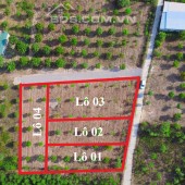 Cần bán nhanh lô đất 2 mặt tiền Suối Tiên – Diên Khánh giá chỉ 2.8tr/m2