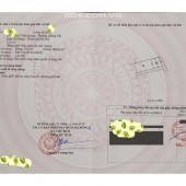 Chính chủ cần bán gấp mảnh đất Dương Nội 52M2 - Lô góc, 3 mặt thoáng, 3 bước ra mặt đường Lê Trọng Tấn